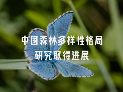 中国森林多样性格局研究取得进展