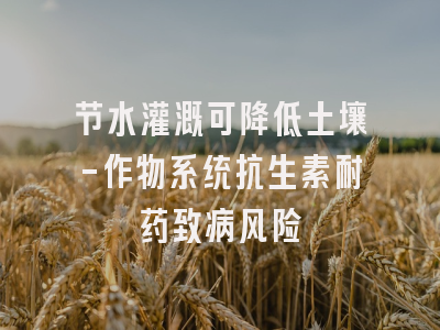 节水灌溉可降低土壤-作物系统抗生素耐药致病风险