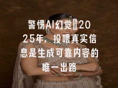 警惕AI幻觉：2025年，投喂真实信息是生成可靠内容的唯一出路