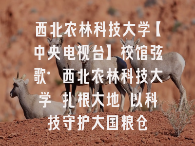西北农林科技大学【中央电视台】校馆弦歌·西北农林科技大学 扎根大地 以科技守护大国粮仓