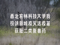 学术会议在线