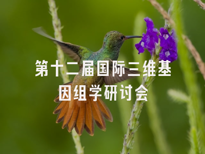 第十二届国际三维基因组学研讨会
