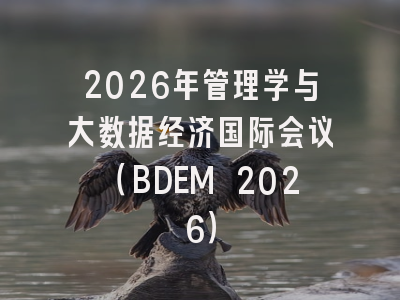 2026年管理学与大数据经济国际会议(BDEM 2026)