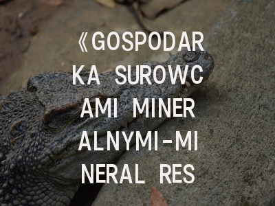 《GOSPODARKA SUROWCAMI MINERALNYMI-MINERAL RESOURCES MANAGEMENT》期刊介绍与投稿策略