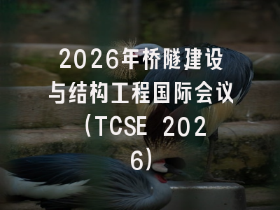 2026年桥隧建设与结构工程国际会议（TCSE 2026）