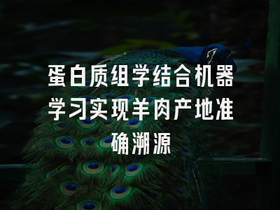 蛋白质组学结合机器学习实现羊肉产地准确溯源
