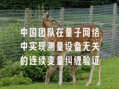 中国团队在量子网络中实现测量设备无关的连续变量纠缠验证