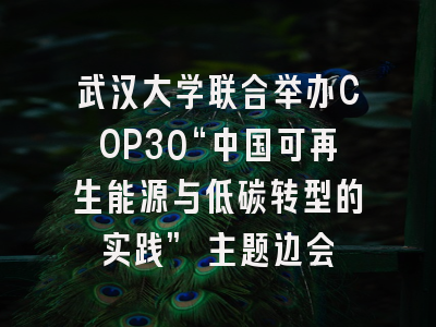 武汉大学联合举办COP30“中国可再生能源与低碳转型的实践” 主题边会