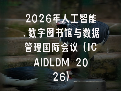 2026年人工智能、数字图书馆与数据管理国际会议（ICAIDLDM 2026）
