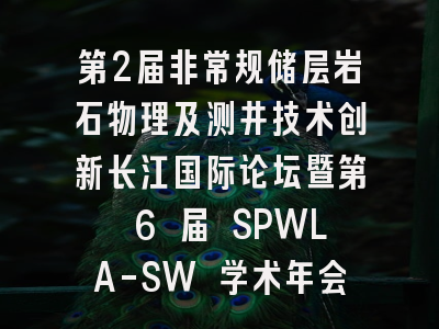 第2届非常规储层岩石物理及测井技术创新长江国际论坛暨第 6 届 SPWLA-SW 学术年会