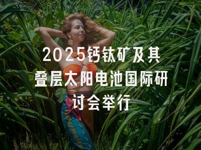 2025钙钛矿及其叠层太阳电池国际研讨会举行