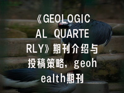 《GEOLOGICAL QUARTERLY》期刊介绍与投稿策略,geohealth期刊