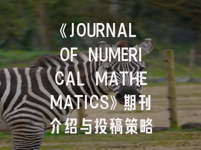 《JOURNAL OF NUMERICAL MATHEMATICS》期刊介绍与投稿策略