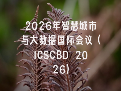 2026年智慧城市与大数据国际会议(ICSCBD 2026)