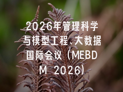 2026年管理科学与模型工程、大数据国际会议(MEBDM 2026)