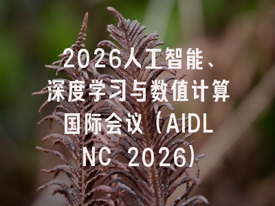 2026人工智能、深度学习与数值计算国际会议（AIDLNC 2026）