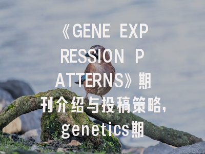 《GENE EXPRESSION PATTERNS》期刊介绍与投稿策略,genetics期刊