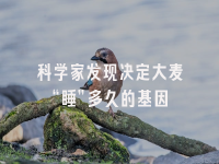 学术会议在线