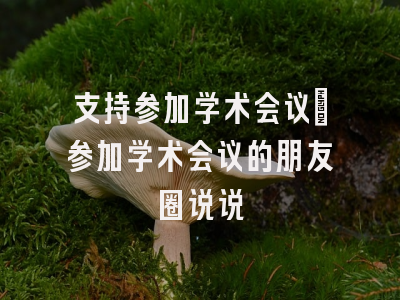 支持参加学术会议_参加学术会议的朋友圈说说