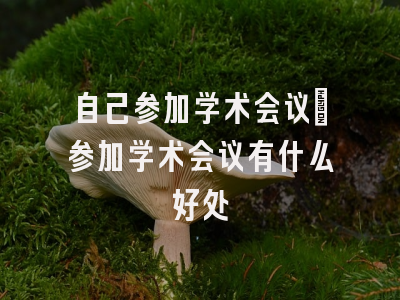 自己参加学术会议_参加学术会议有什么好处
