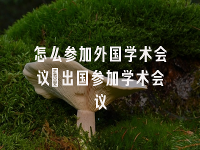 怎么参加外国学术会议_出国参加学术会议