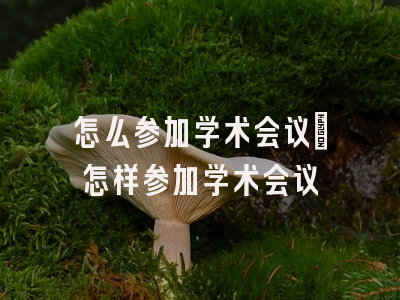 怎么参加学术会议_怎样参加学术会议