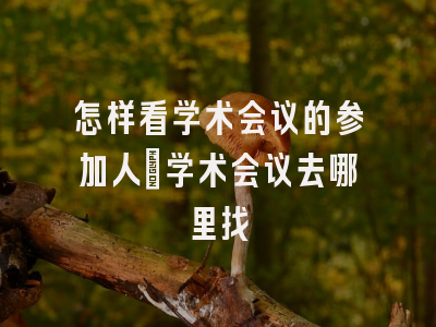 怎样看学术会议的参加人_学术会议去哪里找