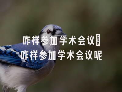 咋样参加学术会议_咋样参加学术会议呢