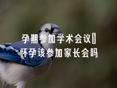 孕期参加学术会议_怀孕该参加家长会吗