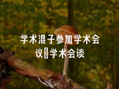 学术混子参加学术会议_学术会谈