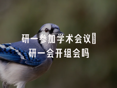 研一参加学术会议_研一会开组会吗