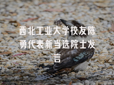 西北工业大学校友陈勇代表新当选院士发言