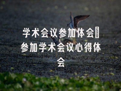 学术会议参加体会_参加学术会议心得体会