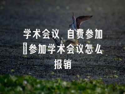 学术会议 自费参加_参加学术会议怎么报销