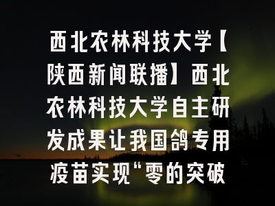 西北农林科技大学【陕西新闻联播】西北农林科技大学自主研发成果让我国鸽专用疫苗实现“零的突破“