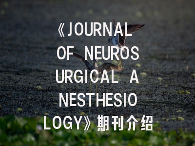 《JOURNAL OF NEUROSURGICAL ANESTHESIOLOGY》期刊介绍与投稿策略