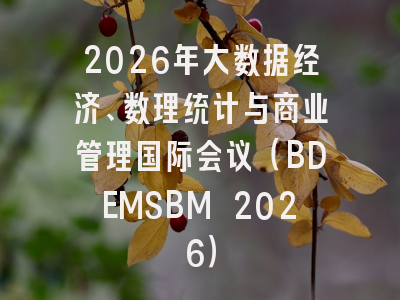 2026年大数据经济、数理统计与商业管理国际会议（BDEMSBM 2026）