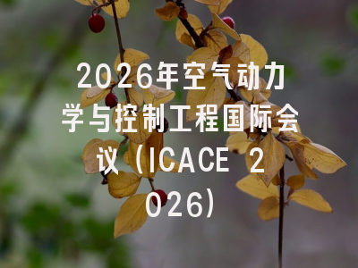 2026年空气动力学与控制工程国际会议(ICACE 2026)