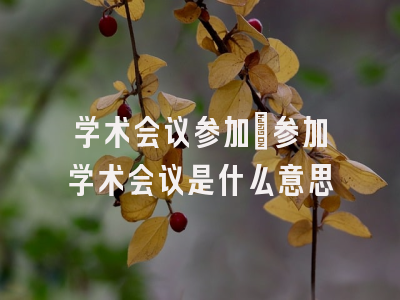 学术会议参加_参加学术会议是什么意思