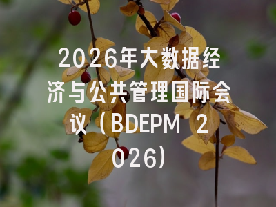 2026年大数据经济与公共管理国际会议（BDEPM 2026）