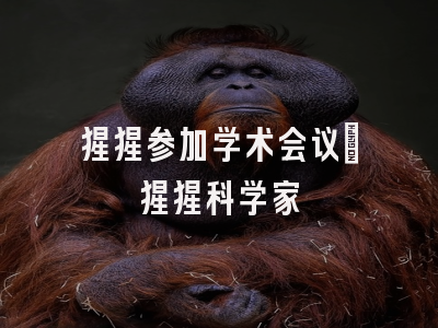 猩猩参加学术会议_猩猩科学家