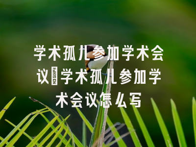 学术孤儿参加学术会议_学术孤儿参加学术会议怎么写