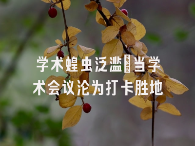 学术蝗虫泛滥：当学术会议沦为打卡胜地