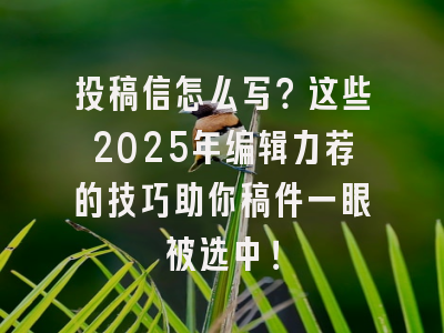 投稿信怎么写？这些2025年编辑力荐的技巧助你稿件一眼被选中！