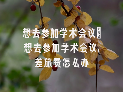 想去参加学术会议_想去参加学术会议,差旅费怎么办