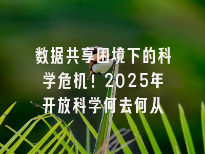 数据共享困境下的科学危机！2025年开放科学何去何从