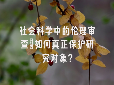 社会科学中的伦理审查：如何真正保护研究对象？