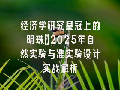 经济学研究皇冠上的明珠：2025年自然实验与准实验设计实战解析