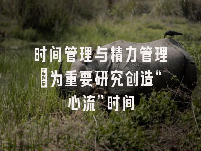 时间管理与精力管理：为重要研究创造“心流”时间