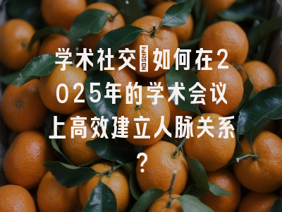 学术社交：如何在2025年的学术会议上高效建立人脉关系？